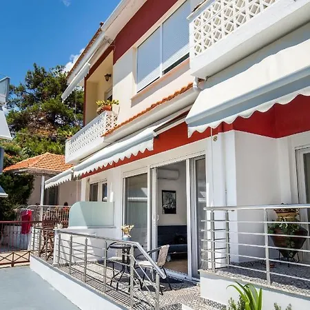 Malama Bh Pico Potos