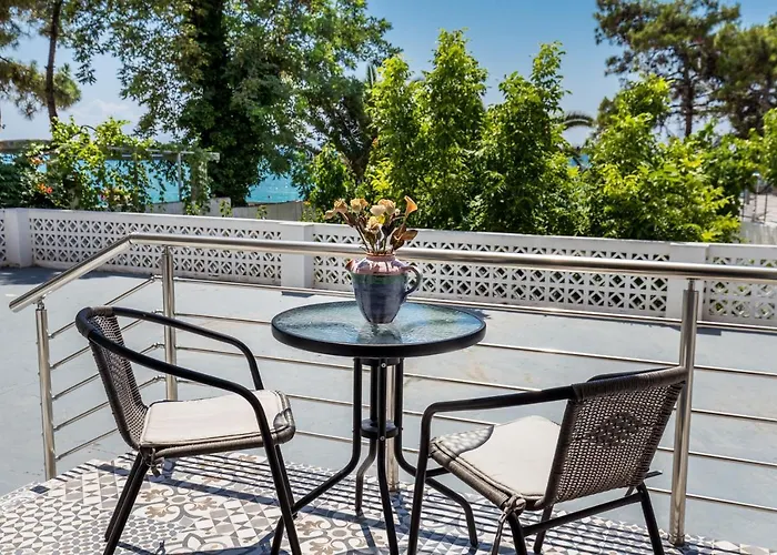 Malama Bh Pico ポトス